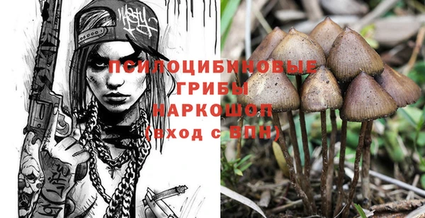 амфетамин Заводоуковск